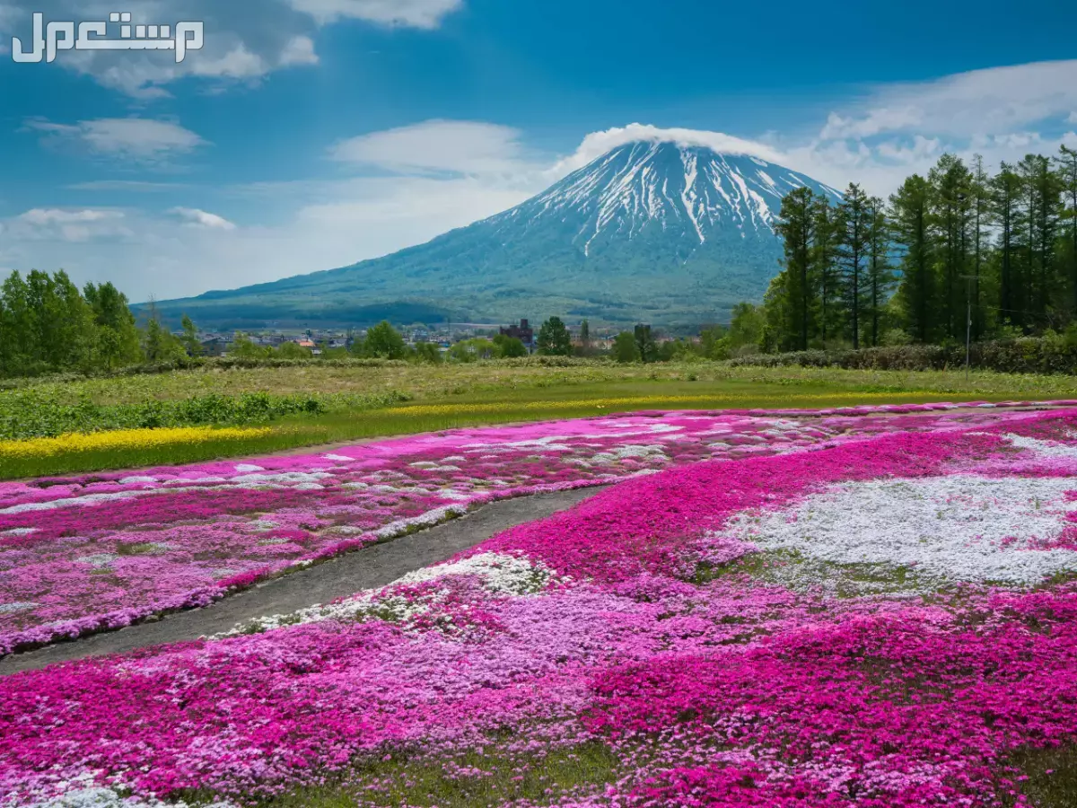 أفضل 10 وجهات السفر في سبتمبر 2025 بأسعار مناسبة جزيرة هوكايدو