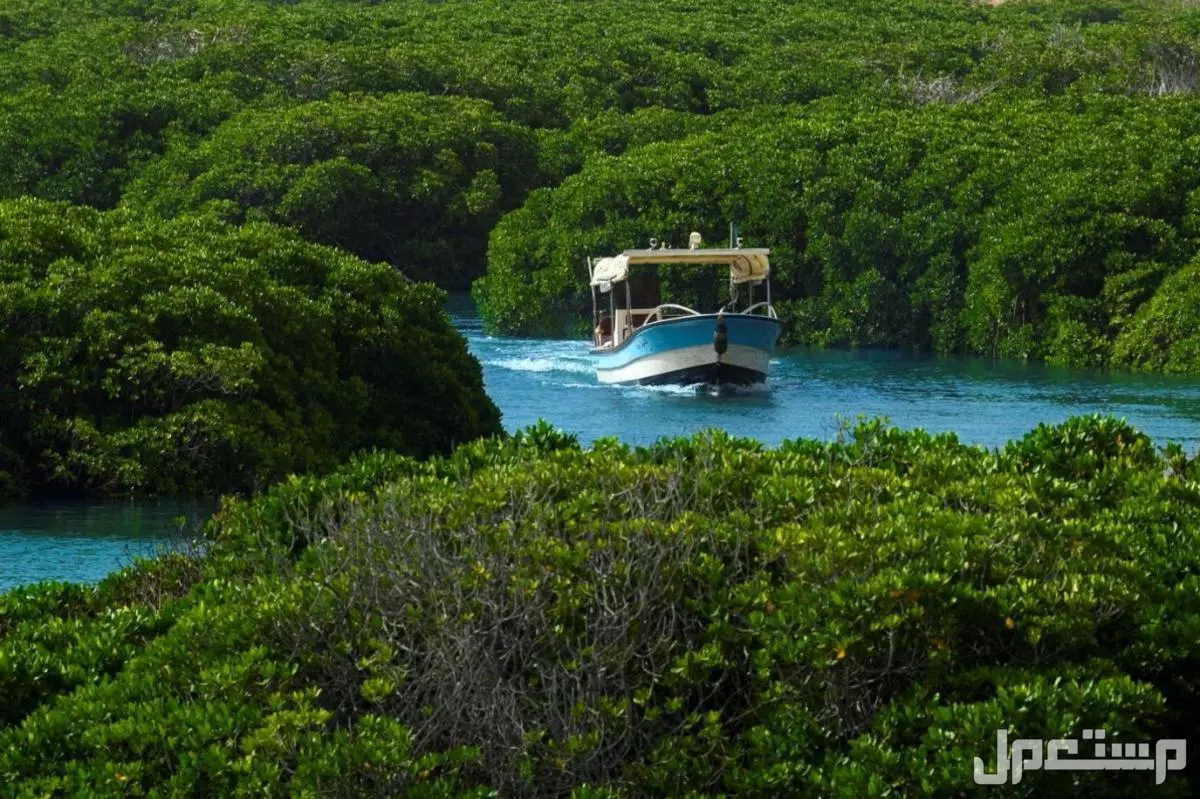 أفضل 10 وجهات السفر في سبتمبر 2025 بأسعار مناسبة جزر فرسان