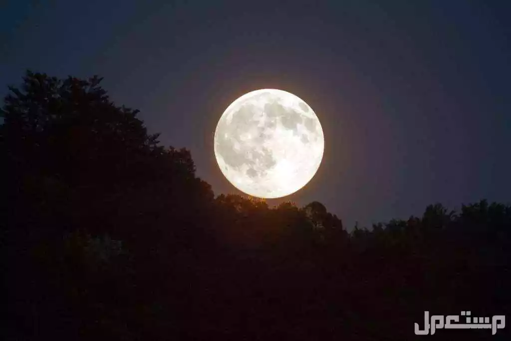 كيفية معرفة الأيام البيض من كل شهر هجري ومواعيدها 2026 - 1447 الأيام البيض 2026