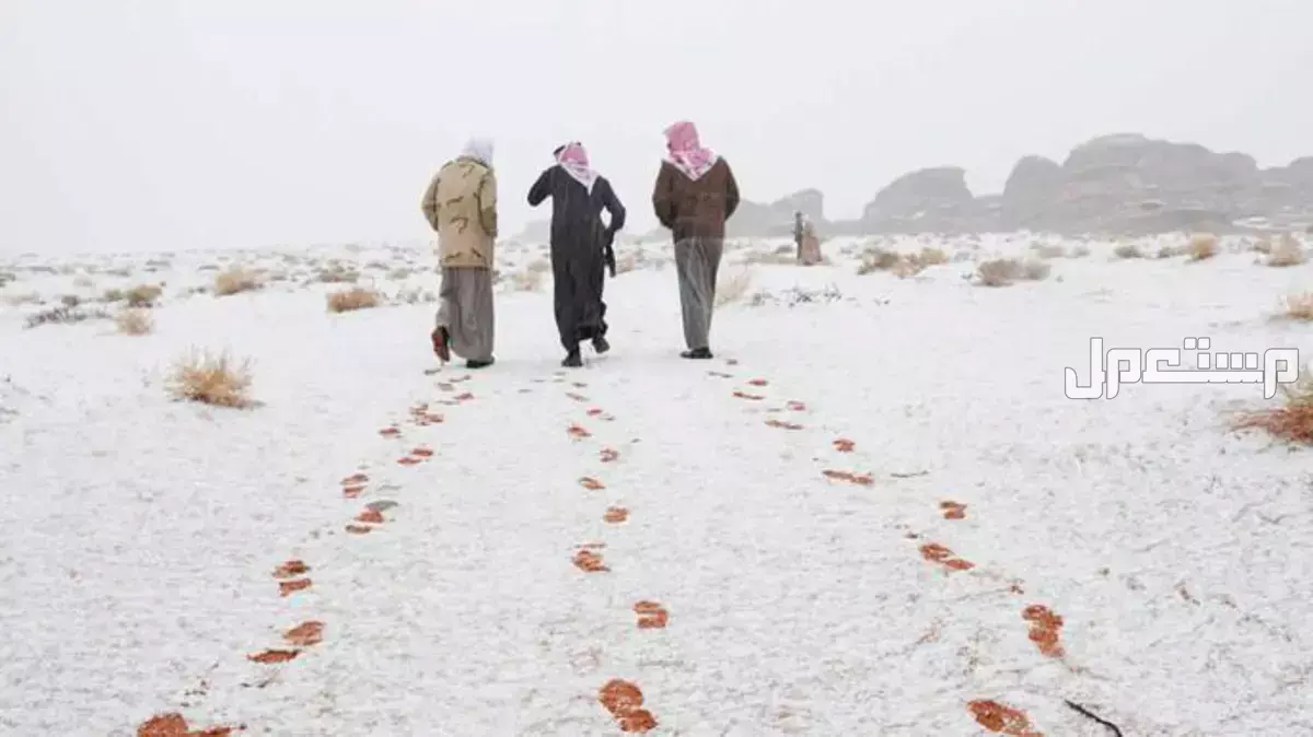 متى يبدأ فصل الشتاء 1447؟ العد التنازلي لبداية شتاء 2025 العد التنازلي لبداية فصل الشتاء 2025