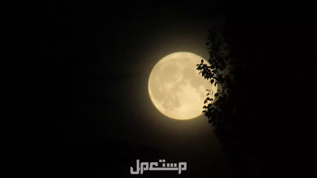 موعد الايام البيض لشهر ربيع الاول 2025.. تعرف عليها واغتنم فضلها الأيام البيض ربيع الأول 2025