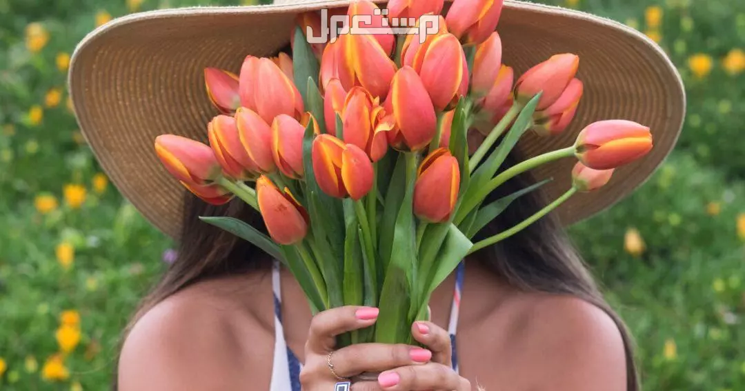 أجمل 30 باقة ورد رومانسية مكتوب عليها وهدايا فاخرة بالصور أجمل باقات ورد للعشاق