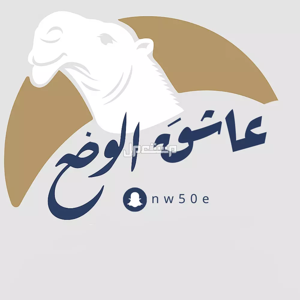 مصمم لوقو احترافي بسعر 35 في الرياض