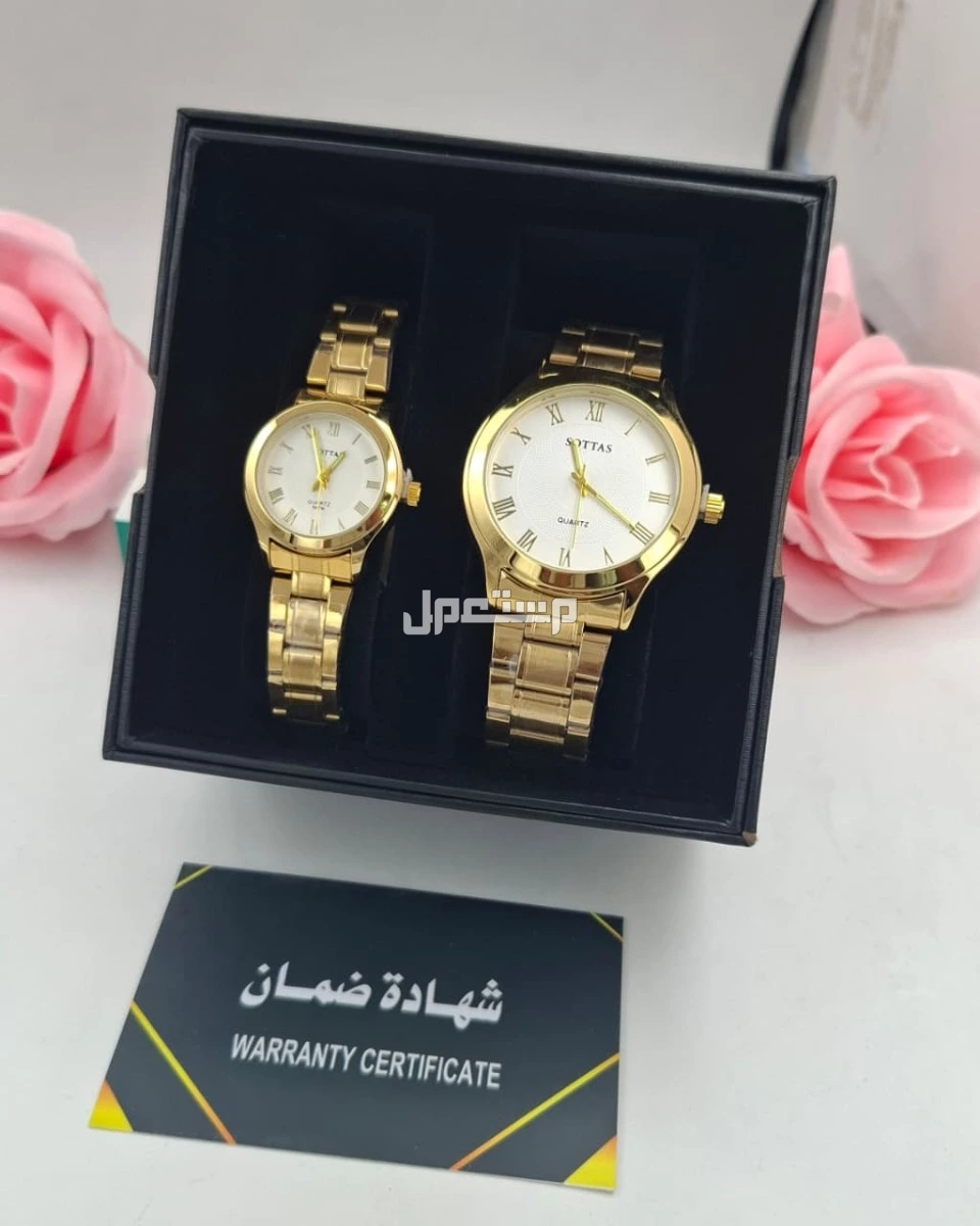 عرض طقم ساعه ستيل فخم نسائي مع رجالي