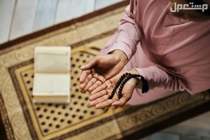 دعاء أول يوم دراسة 1447.. أفضل أدعية للتوفيق والنجاح للطلاب في العام الدراسي الجديد دعاء بداية الدراسة