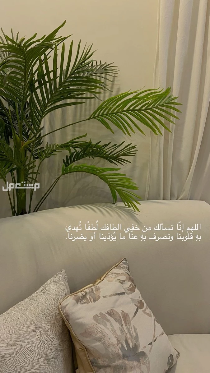 دعاء أول يوم دراسة 1447.. أفضل أدعية للتوفيق والنجاح للطلاب في العام الدراسي الجديد