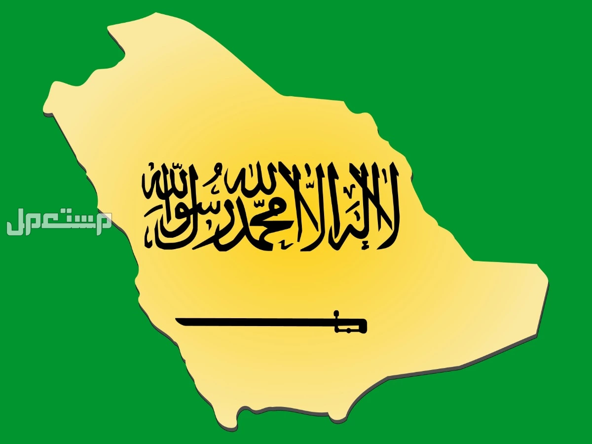 الإقامة الحرة في السعودية 2025-2026.. الشروط والأنواع والمميزات والتكلفة أنواع الإقامة المميزة