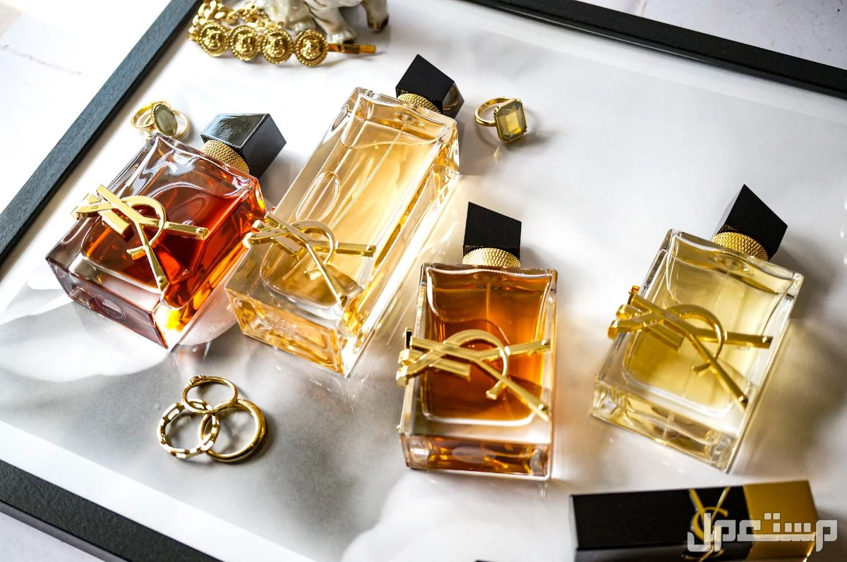أجمل أفكار هدايا عيد الميلاد خطيبتي 2026 برفيوم ysl