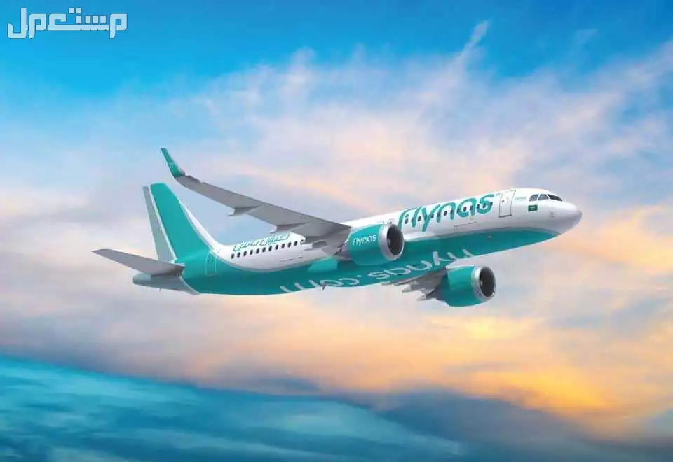 كيف احجز أفضل عروض طيران ناس بسعر رخيص عروض طيران ناس اليوم