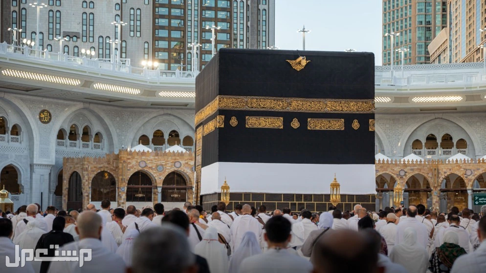 كيفية التقديم على تأشيرة العمرة مباشرة من خارج السعودية بدون وسيط التقديم على تأشيرة العمرة من خارج السعودية بدون وسيط