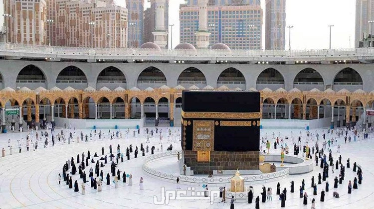 كيفية التقديم على تأشيرة العمرة مباشرة من خارج السعودية بدون وسيط تأشيرة العمرة من خارج السعودية دون وسيط
