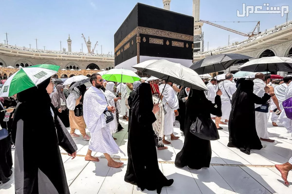 كيفية التقديم على تأشيرة العمرة مباشرة من خارج السعودية بدون وسيط التقديم على العمرة بدون وسيط 1447