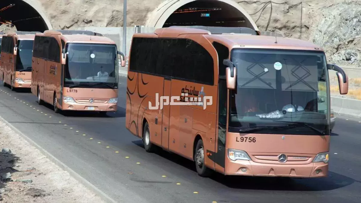 أسعار تذاكر رحلات النقل الجماعي 1447.. جدول المواعيد حافلات سابتكو بين المدن السعودية