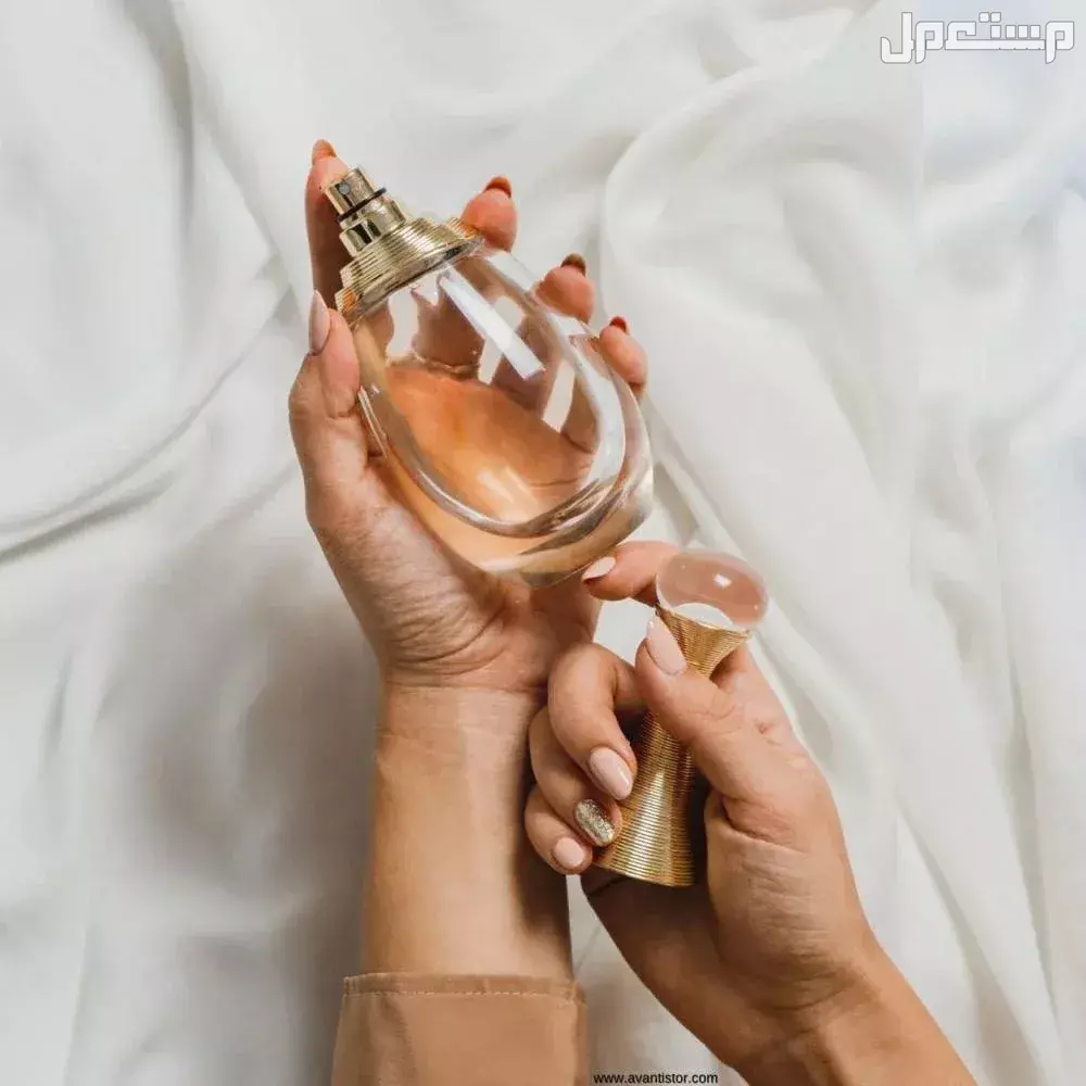أقوى عروض اليوم الوطني 2025 على العطور.. أسعار مميزة وتخفيضات ضخمة تخفيضات اليوم الوطني على العطور النسائية