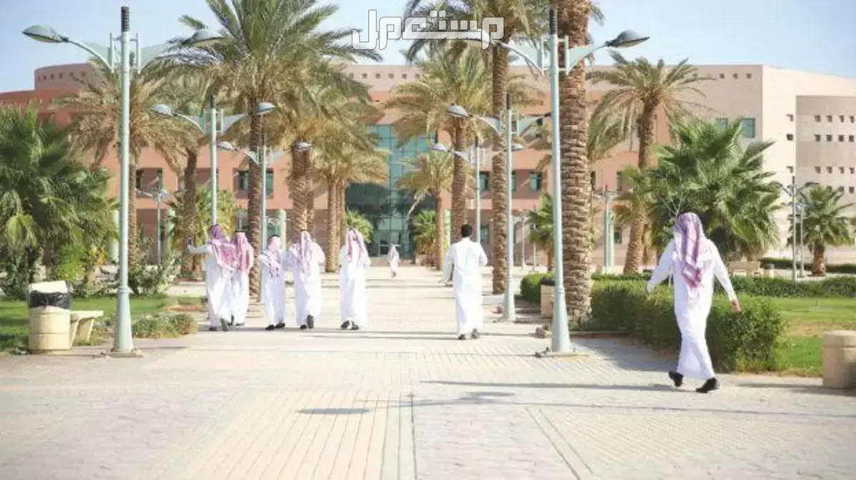 مواعيد الجامعات السعودية 1447.. دليل شامل للطلاب والإجازات مواعيد الجامعات السعودية 1447