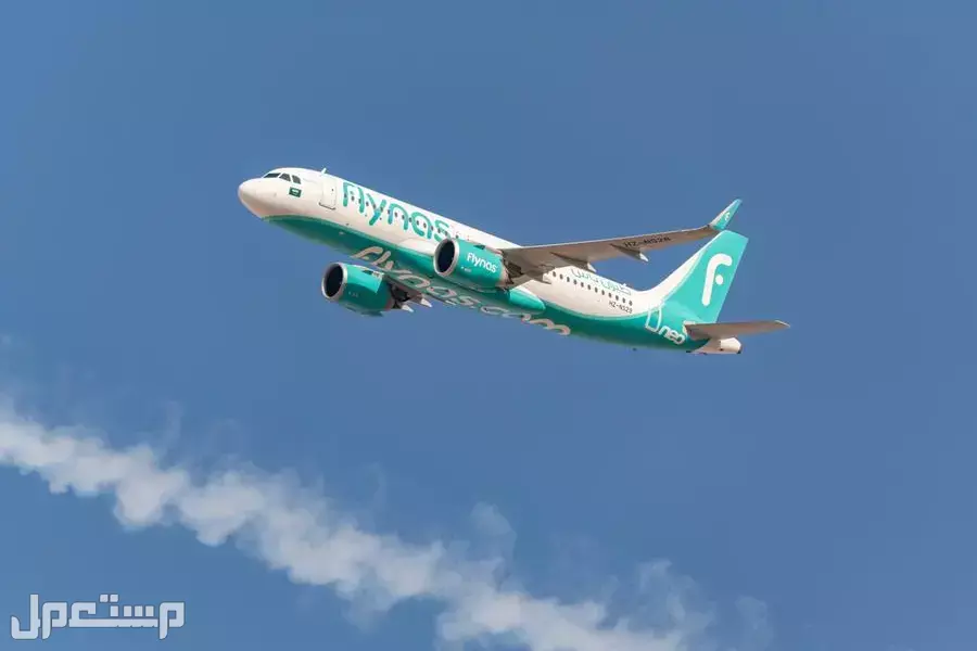 أقوى عروض اليوم الوطني 95 من طيران ناس وطيران أديل 2025 عروض اليوم الوطني على رحلات الطيران