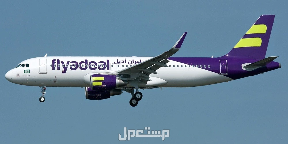 أقوى عروض اليوم الوطني 95 من طيران ناس وطيران أديل 2025 عروض طيران اليوم الوطني