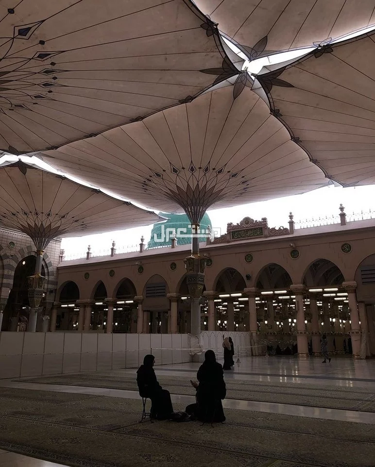 أبواب دخول النساء في المسجد النبوي وأماكنها بالتفصيل أقرب باب للروضة الشريفة