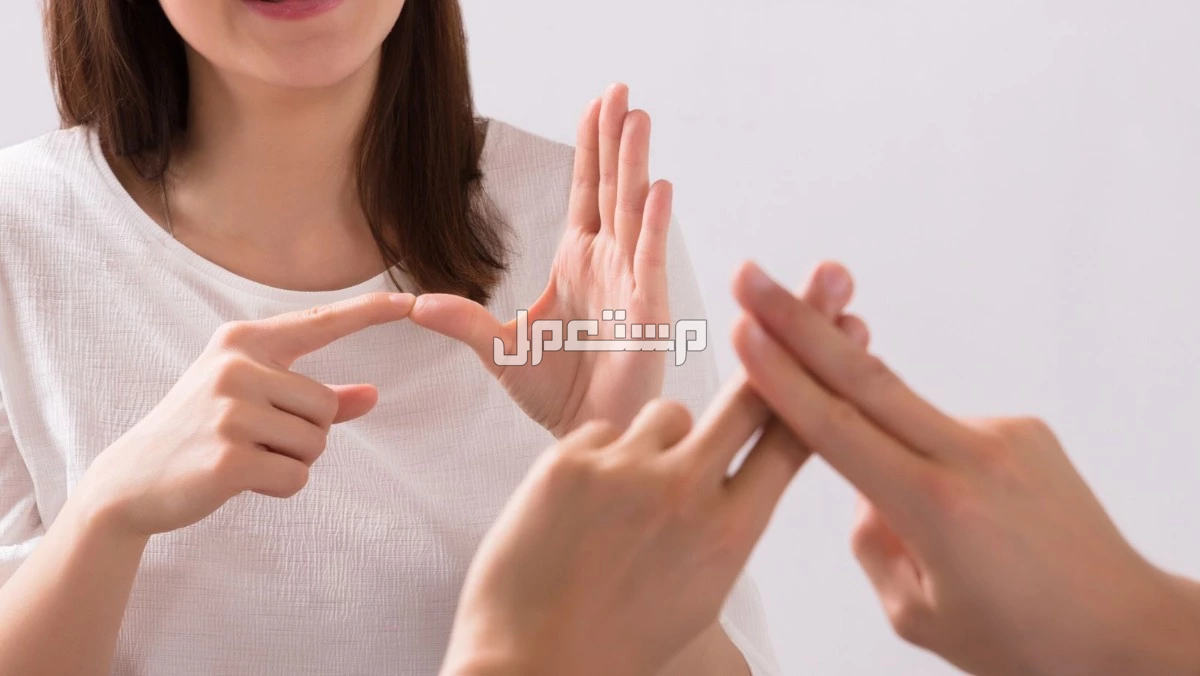 جدول الأيام العالمية في شهر سبتمبر 2025.. أهم المناسبات العالمية الأيام العالمية في شهر سبتمبر