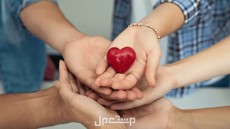 جدول الأيام العالمية في شهر سبتمبر 2025.. أهم المناسبات العالمية اليوم العالمي في سبتمبر