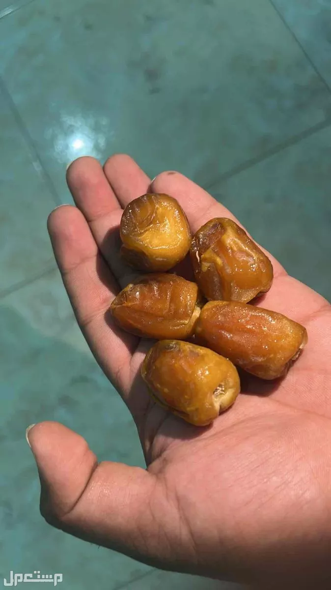 للبيع تمر سكري جالكسي  في جدة بسعر 80