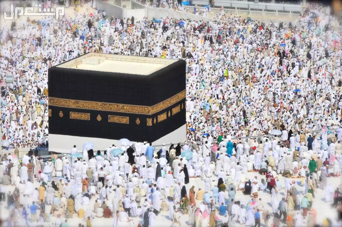 كيفية أداء العمرة للنساء لأول مرة بالتفصيل مع الصور والخطوات 2025 خطوات العمرة 2025 للنساء
