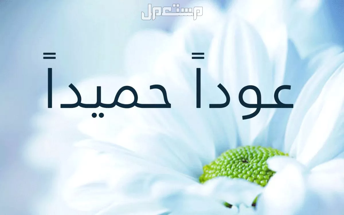 أجمل عبارات ترحيبية بالمعلمين والمعلمات بالإنجليزي والعربي 1447 عبارات ترحيبية بمناسبة العودة للمدارس 2025