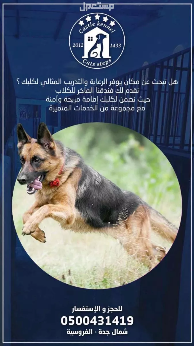فندقة وتدريب كلاب بأقوى الأسعار