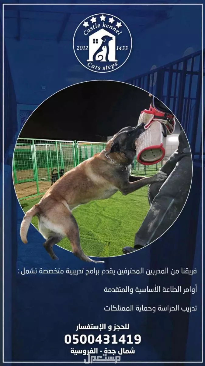 فندقة وتدريب كلاب بأقوى الأسعار