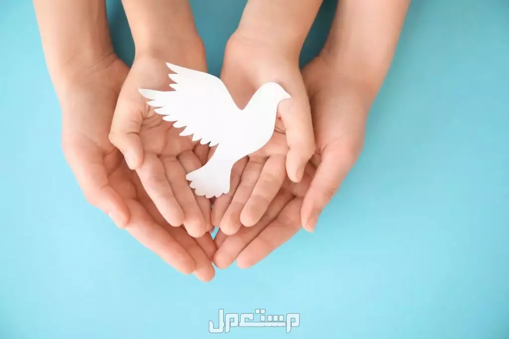 اليوم العالمي للسلام 2025.. مناسبة تدعو إلى الأمل والوئام بين الشعوب اليوم العالمي للسلام 2025