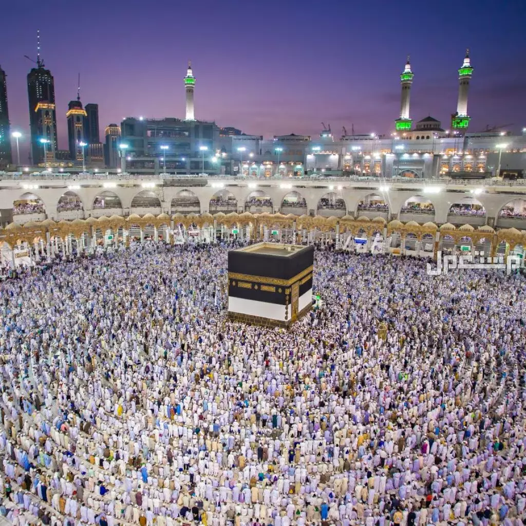 متى يبدأ موسم الحج 2026؟ بداية مناسك الحج 1447 بالتفصيل الحجاج يؤدون مناسك الحج 2026