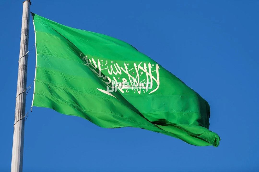احتفالات اليوم الوطني السعودي 95: أقوى الفعاليات والعروض 1447 تهنئة اليوم الوطني السعودي 95