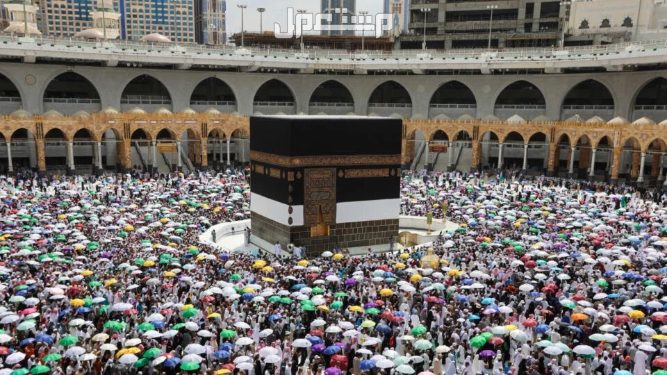 دليل تأشيرة الحج 2026.. كل ما تحتاج معرفته من الخطوات إلى التكلفة تأشيرة مراقب حج 2026