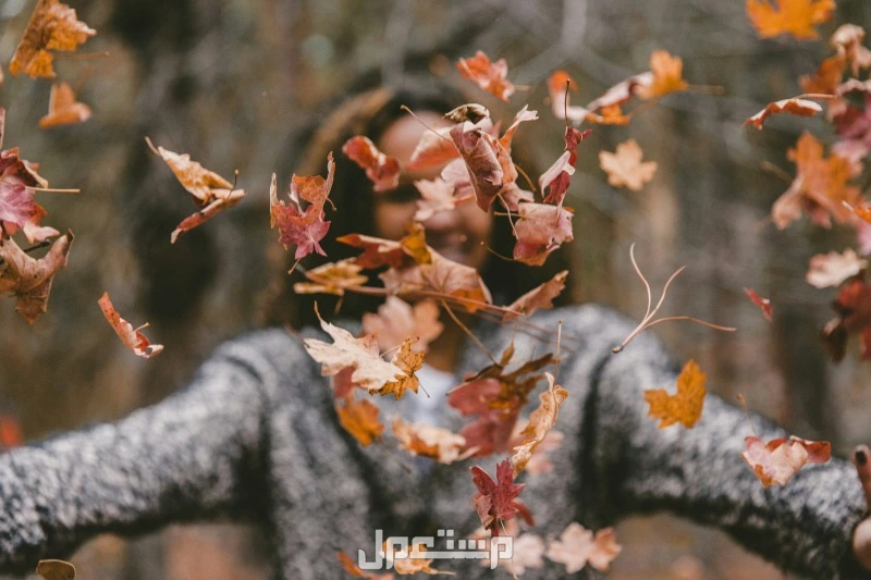 أجمل عبارات عن فصل الخريف بالعربي والإنجليزي عبارات عن فصل الخريف بالعربي والإنجليزي