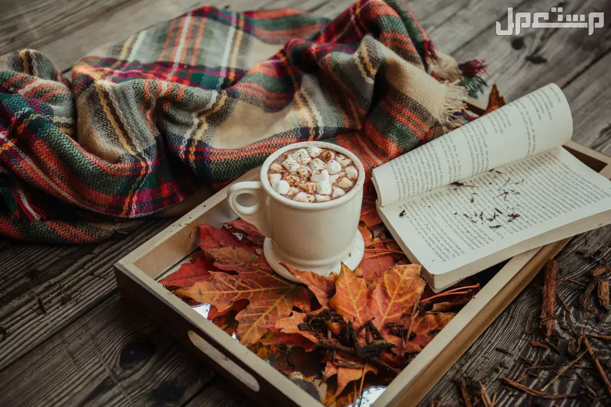 أجمل عبارات عن فصل الخريف بالعربي والإنجليزي Autumn quotes in Arabic and English