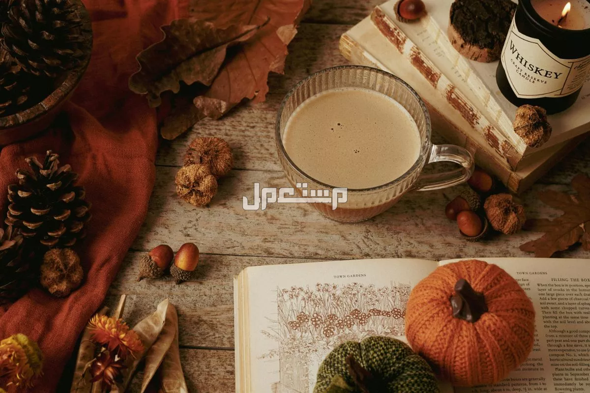 أجمل عبارات عن فصل الخريف بالعربي والإنجليزي أجمل ما قيل عن الخريف
