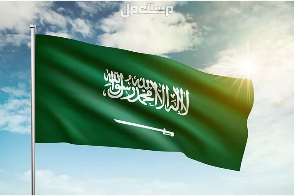 دليل التسوق في اليوم الوطني السعودي 95: أفضل العروض والخصومات دليل التسوق في اليوم الوطني السعودي 95