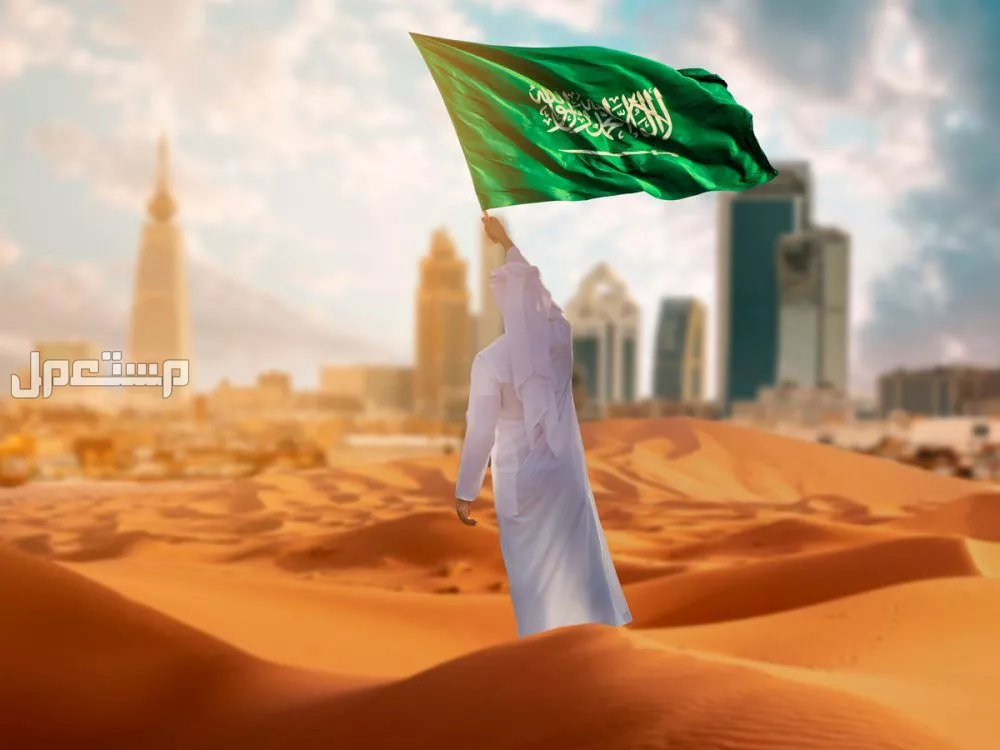 دليل التسوق في اليوم الوطني السعودي 95: أفضل العروض والخصومات تخفيضات اليوم الوطني السعودي 95