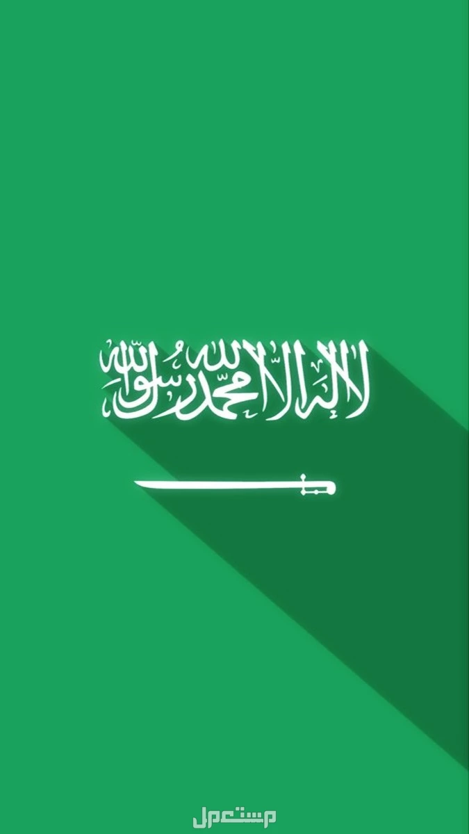 دليل التسوق في اليوم الوطني السعودي 95: أفضل العروض والخصومات ما هي عروض العيد الوطني 2025؟
