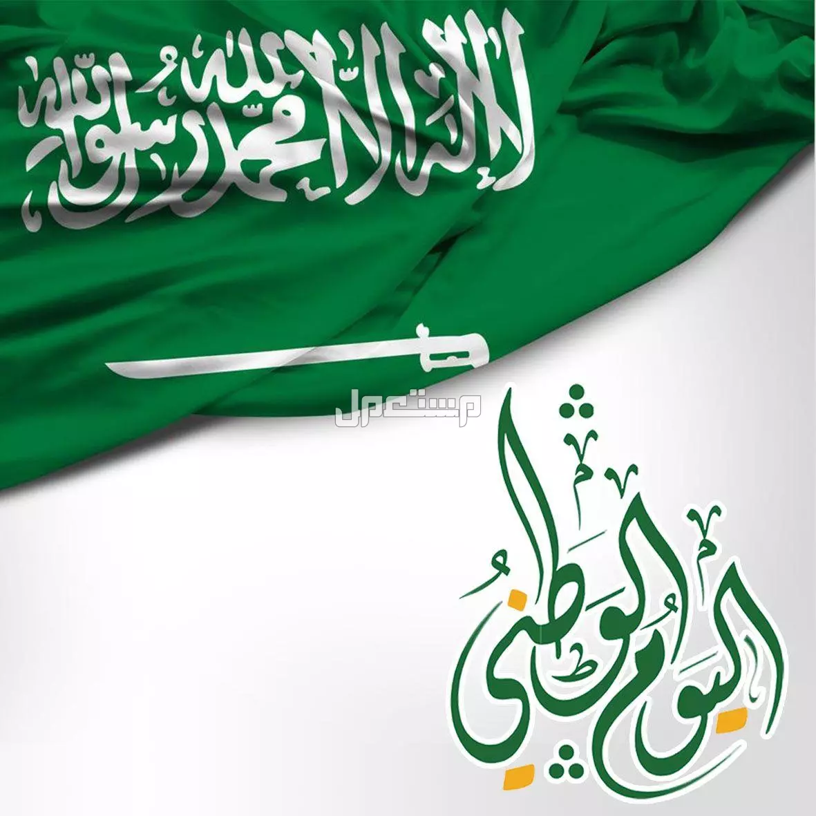 دليل التسوق في اليوم الوطني السعودي 95: أفضل العروض والخصومات أسرار التسوق في اليوم الوطني 1447