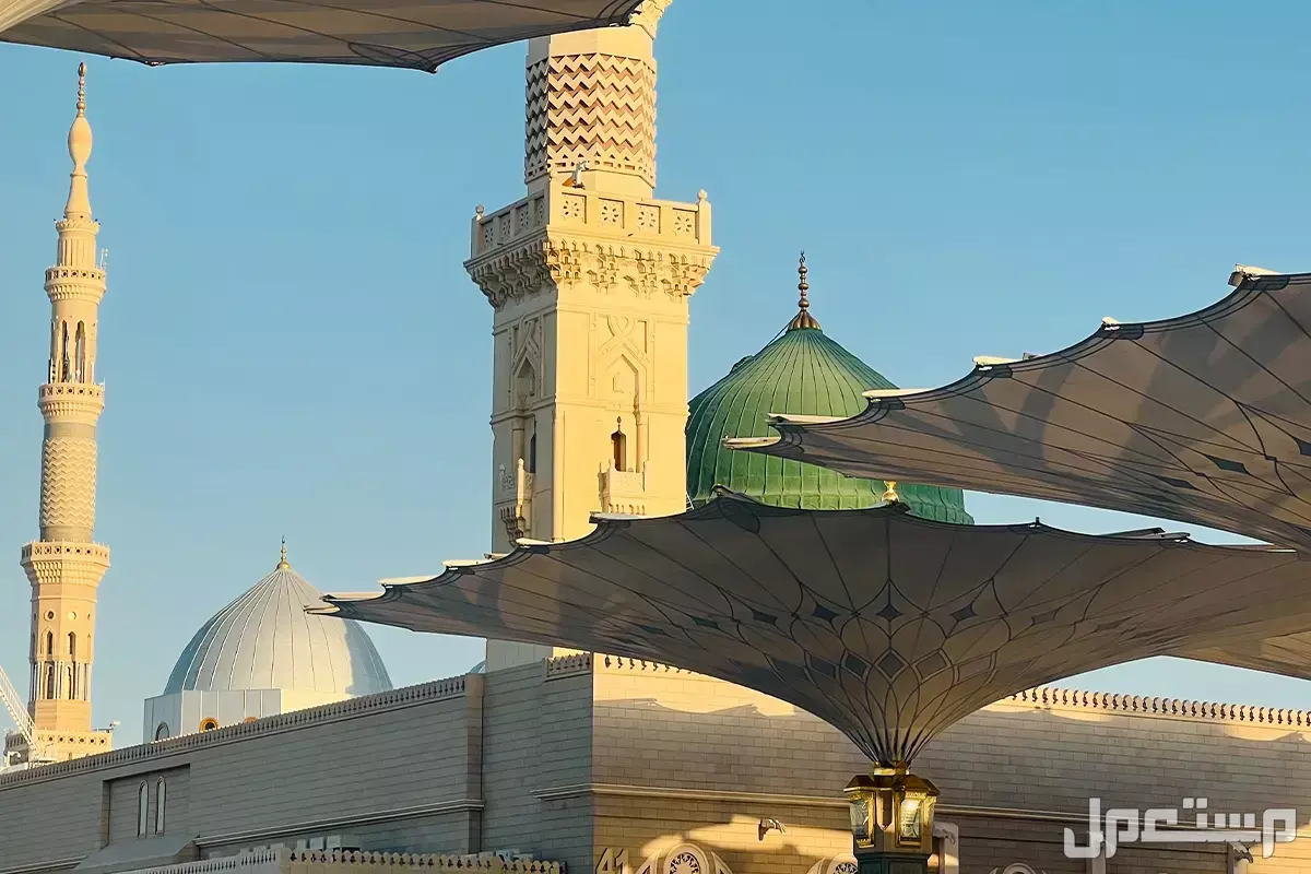 دليل زيارة المسجد النبوي 2026 للرجال والنساء أوقات الزيارة في المسجد النبوي