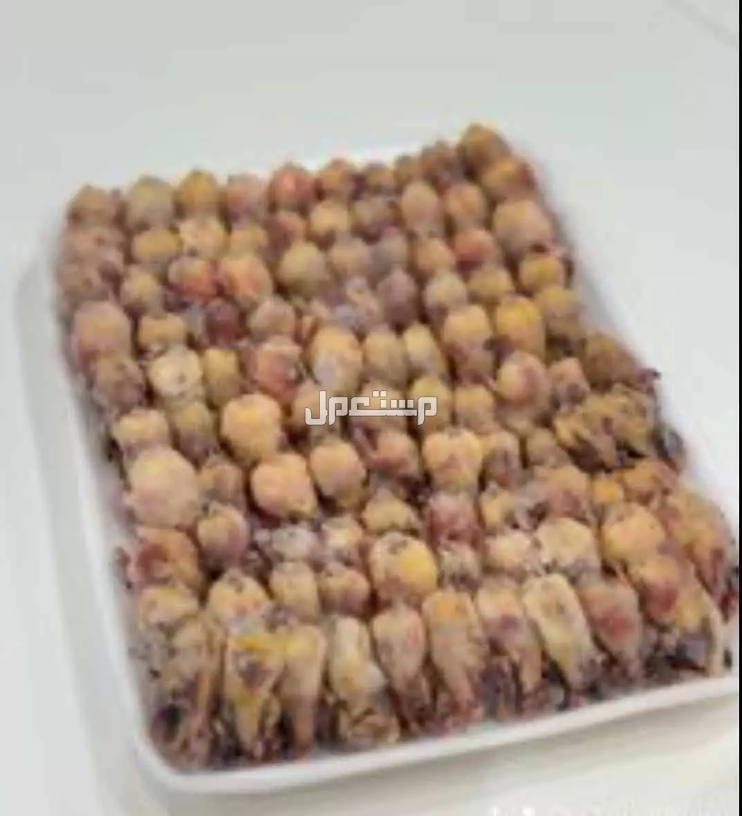 دخل طيور مهاجرة وطيور التين  في الرياض بسعر 250 ريال سعودي