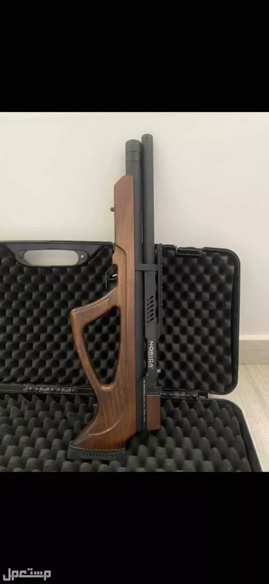 نوريكا فرياتوس 5.5 مصرحه في الخرج