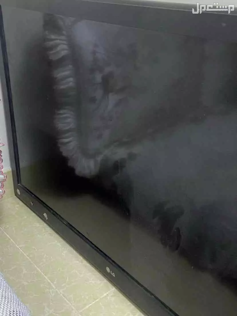 للبيع شاشة بلازما 50 بوصة شغاله وجديده عالسوم في المدينة المنورة بسعر 350 ريال سعودي شاشة بلازما
