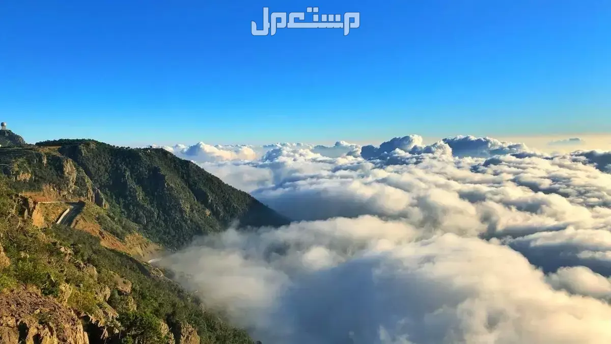 أين تقضي إجازة اليوم الوطني السعودي 95؟.. أفضل 5 وجهات الطبيعة في السعودية