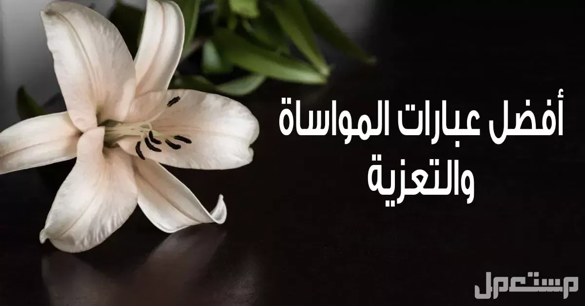 عبارات تعزية مؤثرة بالعربي والإنجليزي مترجمة وجاهزة للاستخدام (صور) عبارات المواساة والتعزية مؤثرة