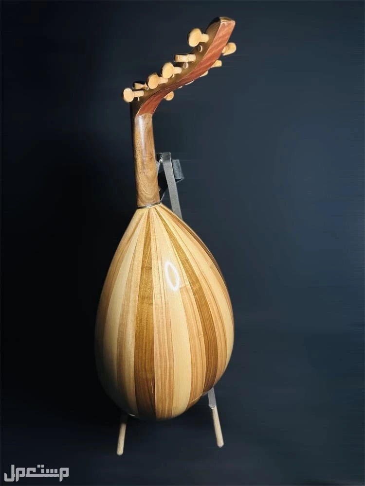 عود موسيقي مع شنطة وملحقات – أفضل قيمة للمبتدئين جديد للبيع