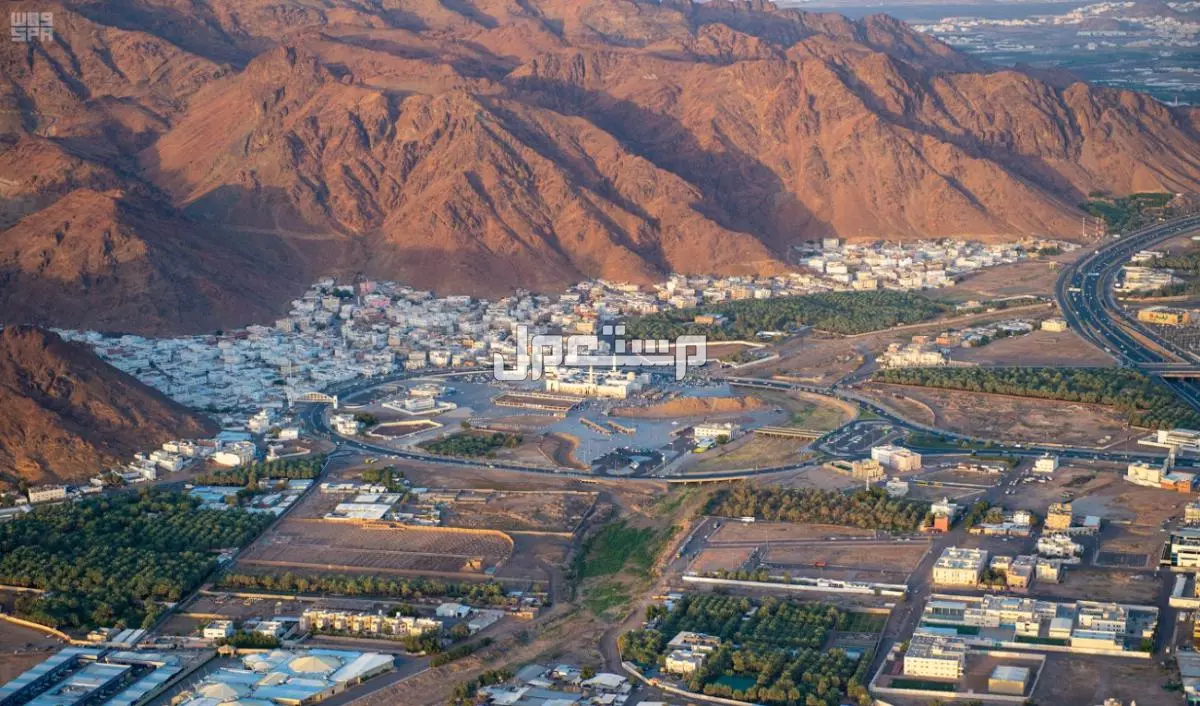 أفضل 10 أماكن في المدينة المنورة للزيارة بعد العمرة 2026 جبل احد