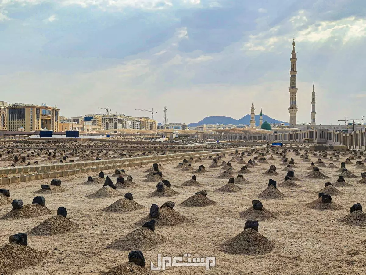 أفضل 10 أماكن في المدينة المنورة للزيارة بعد العمرة 2026 البقيع