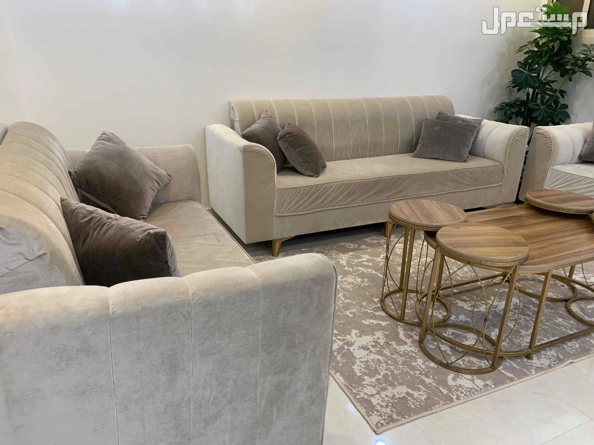 كنب وطاوله للبيع نظيف جدا في تبوك بسعر 600 ريال سعودي